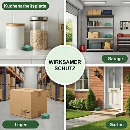 🐭Natürliche Pfefferminz-Kugeln gegen Mäuse & Insekten – Effektiv & Chemiefrei