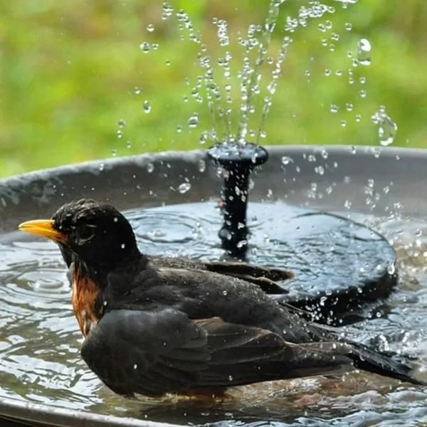 ☀️⛲ Solarbrunnen-Pumpe – mit 4 Düsen für Vogeltränke & Garten (16 cm / 6,3 Zoll)