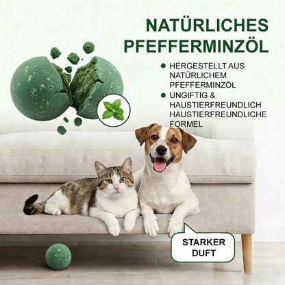 🐭Natürliche Pfefferminz-Kugeln gegen Mäuse & Insekten – Effektiv & Chemiefrei