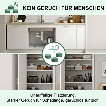 🐭Natürliche Pfefferminz-Kugeln gegen Mäuse & Insekten – Effektiv & Chemiefrei