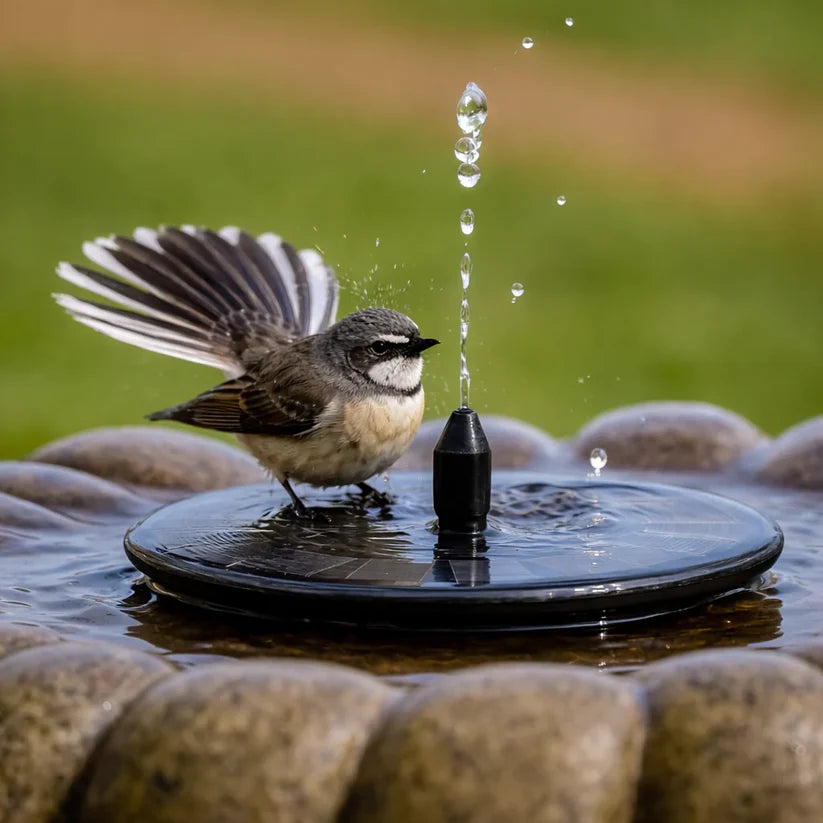 ☀️⛲ Solarbrunnen-Pumpe – mit 4 Düsen für Vogeltränke & Garten (16 cm / 6,3 Zoll)